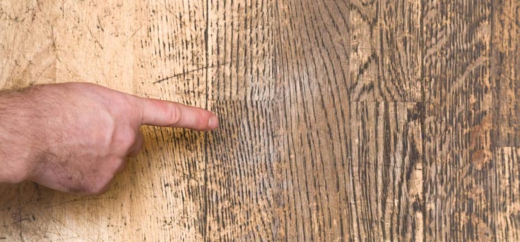 Wood Door Scratch Repair in Home Gardens